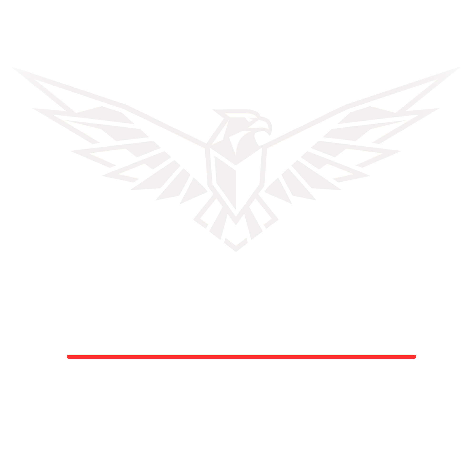 Dark Compagny Logo